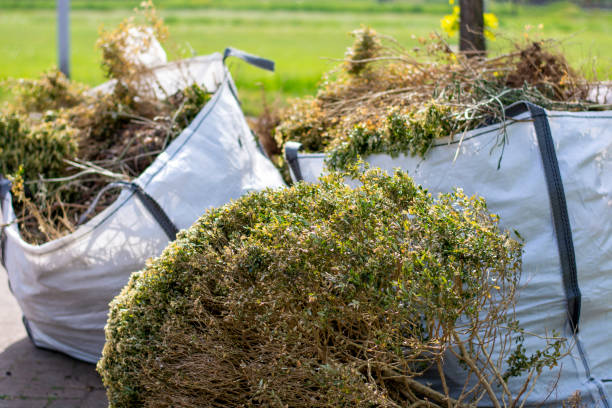 Best Hoarding Cleanup  in Jacksonwald, PA